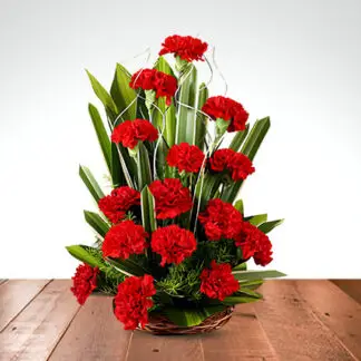 Regal Carnations(15)