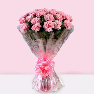 Pink Carnations(24)