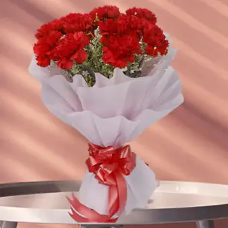 Red Carnations(12)